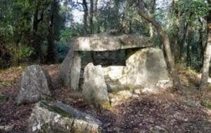 Bagnols-en-Forêt: les meules romaines