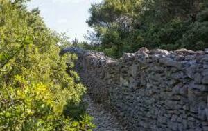 Mur de la peste et Vallon de l'Oule à Cabrières d'Avignon