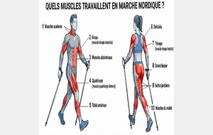 Marche Nordique
