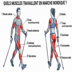 Marche Nordique
